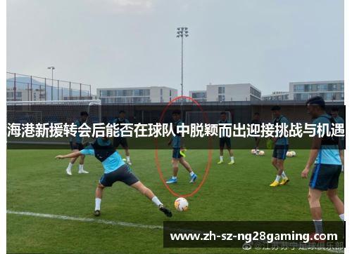 海港新援转会后能否在球队中脱颖而出迎接挑战与机遇 海港新援转会后能否在球队中脱颖而出迎接挑战与机遇