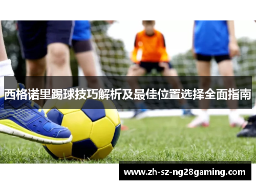 西格诺里踢球技巧解析及最佳位置选择全面指南 西格诺里踢球技巧解析及最佳位置选择全面指南
