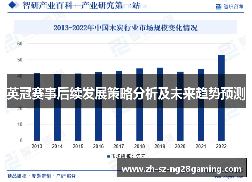 英冠赛事后续发展策略分析及未来趋势预测 英冠赛事后续发展策略分析及未来趋势预测