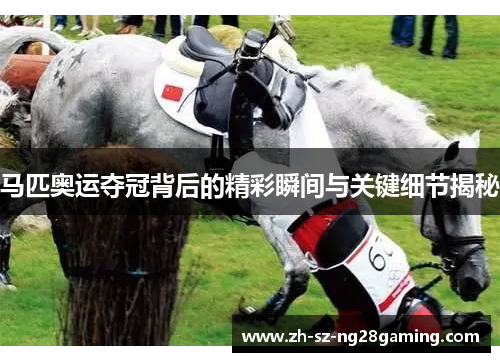 马匹奥运夺冠背后的精彩瞬间与关键细节揭秘 马匹奥运夺冠背后的精彩瞬间与关键细节揭秘