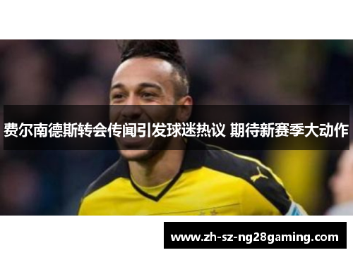 费尔南德斯转会传闻引发球迷热议 期待新赛季大动作 费尔南德斯转会传闻引发球迷热议 期待新赛季大动作