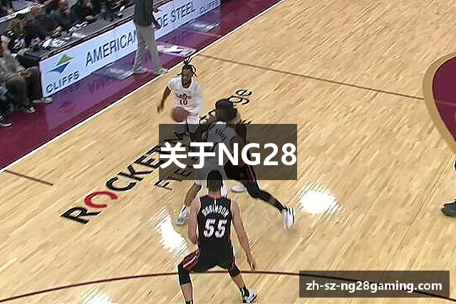 关于NG28